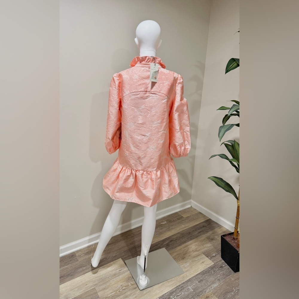 Tuckernuck Bellini Fil Coupe Palmerston Dress S NWT Pink Ruffle Party - Picture 6 of 13